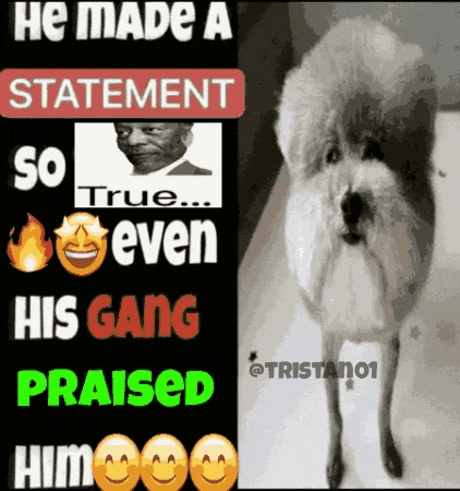 True GIF