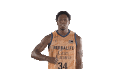 Liga Endesa Basketball Sticker by ACB