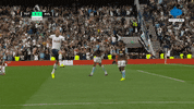 Happy Celebration GIF by MolaTV