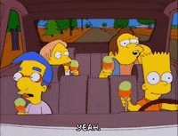 bart simpson episode 20 GIF