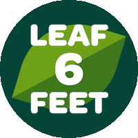 Quarantine Leaf Sticker by Verde Fresh Salads + Wraps