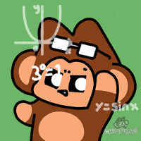 Monkey What GIF