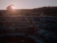 Sci-Fi Film GIF by Mama Bird Recording Co.