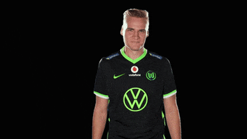 E Sports Sport GIF by VfL Wolfsburg