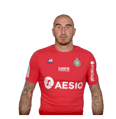 goalkeeper asse Sticker by AS Saint-Etienne