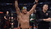 Stephen Thompson Sport GIF by UFC