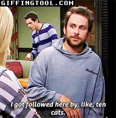 giphyupload GIF