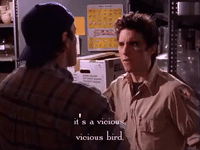 season 3 netflix GIF by Gilmore Girls 