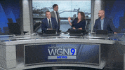 punch lol GIF by WGN Morning News