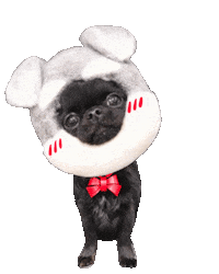 Heart Dog Sticker