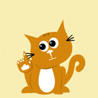 Cat No GIF