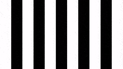 Happy Dance GIF by SK Sturm Graz