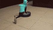 Vacuum Cleaner Cat GIF by Banggood
