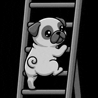Moving Black And White GIF by Pugs