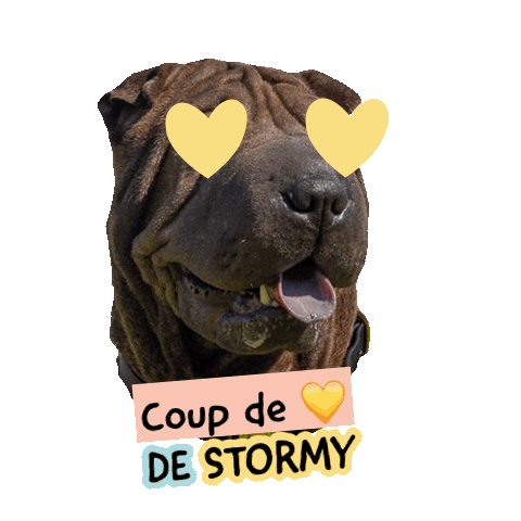 Pawsitivepetambassadeur Sticker by Pawsitive pet