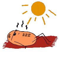 Summer Sun Sticker