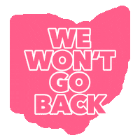 Pro Choice Vote Sticker by Ohio Democrats