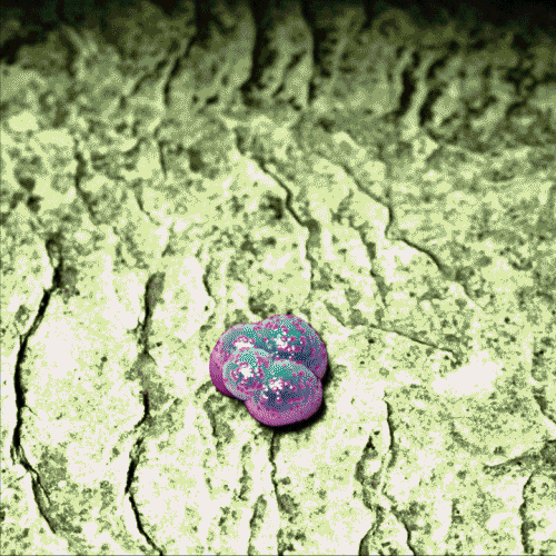 GIF by adampizurny