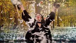 jimmy fallon shes too funny GIF