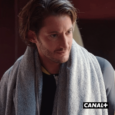Fun Reaction GIF by CANAL+