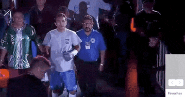 toprank fight sports sport boxing GIF