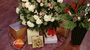 christmas tree GIF by Rachael Ray Show