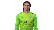 Yann Sommer Bundesliga Sticker by Borussia Mönchengladbach