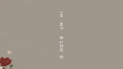 in my blood GIF by Shawn Mendes