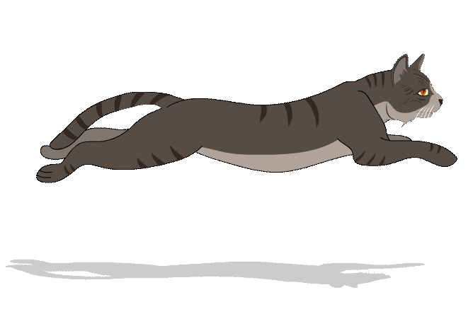 Cat Kat Sticker by Kattenveertjes