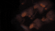 stop motion animation GIF by sam gurry