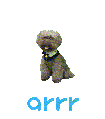아르르 Sticker by arrr_official