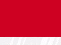 Turkey GIF by Socinflu