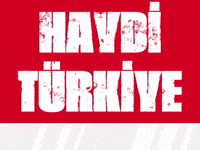 Turkey GIF by Socinflu