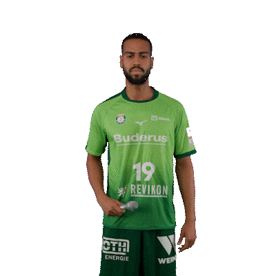 Handball Sticker by DAIKIN HBL