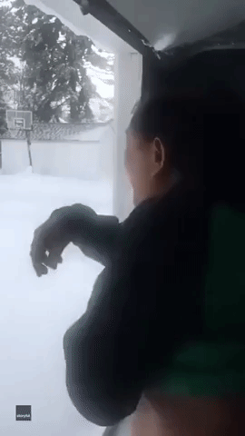 Man Visits New York From Philippines, Is Wowed by Snow