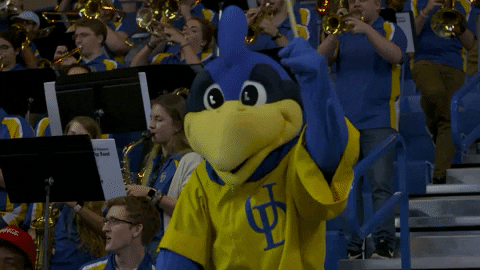 BlueHens giphyupload basketball band mascot GIF