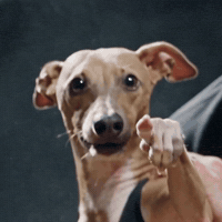 Casper Giving Thread GIF
