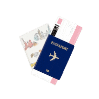dhefloriano travel viagem passaporte passaport Sticker