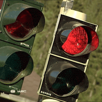 Go Red Light GIF by FIA World Rally Championship