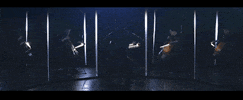 classical music hello GIF