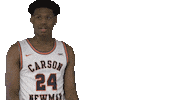 Basketball Shake Sticker by Carson-Newman Athletics