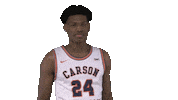 Sport Basketball Sticker by Carson-Newman Athletics