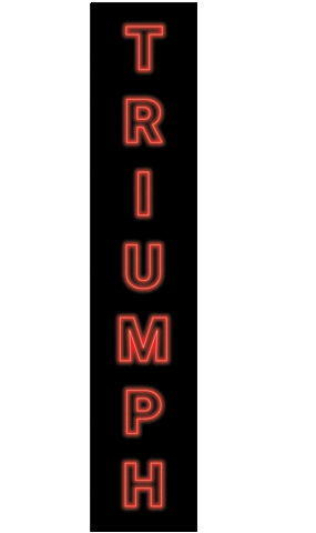 Beer Neon Sticker by Triumph Brewing Company