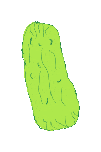 Pickle Day Sticker