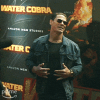 Priyankachopra Idriselba GIF by Amazon Prime Video