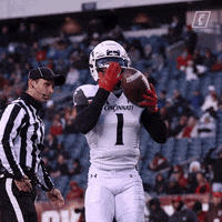 University Of Cincinnati Sport GIF by Cincinnati Bearcats