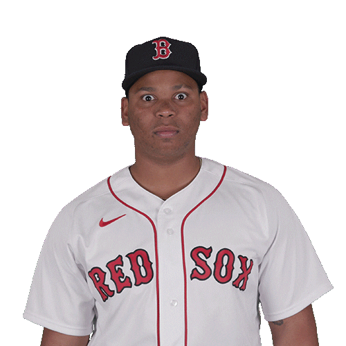 Red Sox Wow Sticker by Boston Red Sox