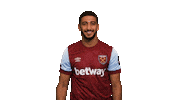 Premier League Hammers Sticker by West Ham United