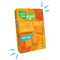 RealFood_FromTheGroundUp vegan plant based gluten free crackers Sticker