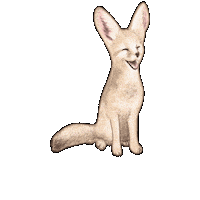 Fennec Fox Stray Kids Sticker